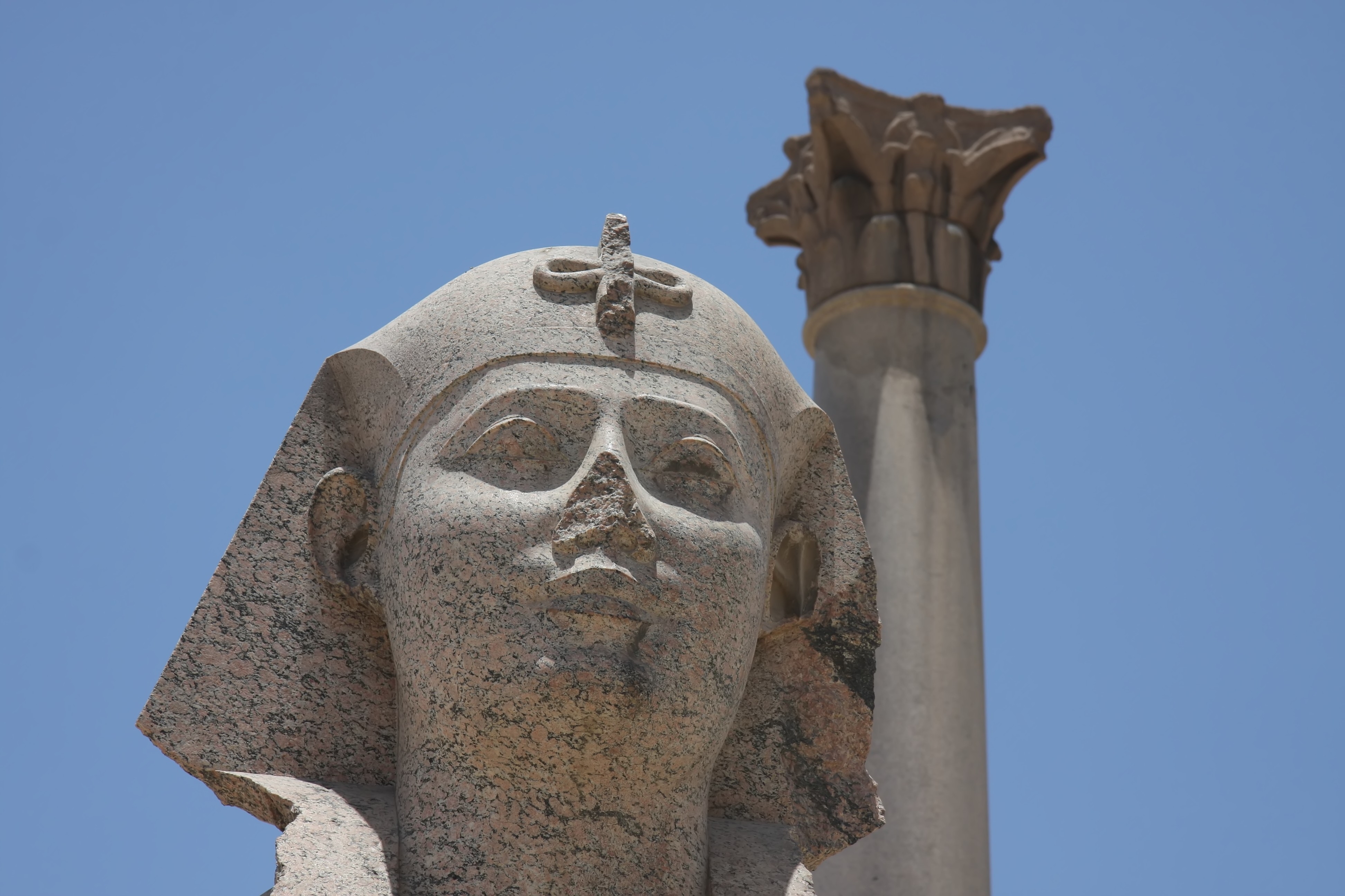 Sphynx